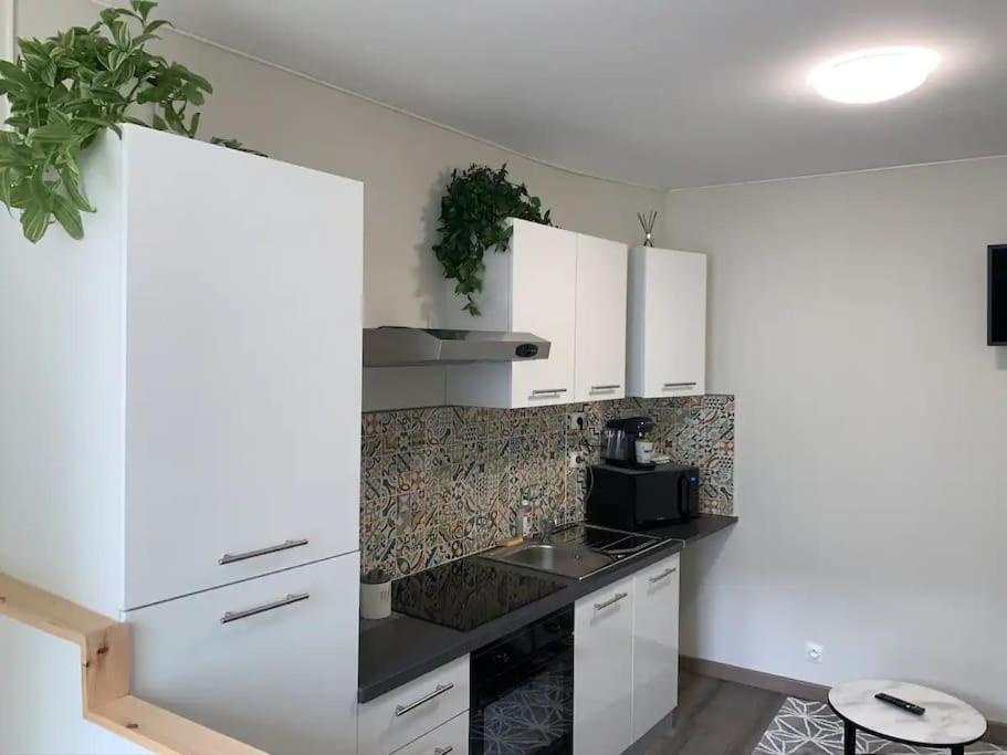 شقة Le Cocon T2 Duplex 24 M2 نيورْ المظهر الخارجي الصورة